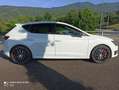 SEAT Leon Leon 5p 2.0 tsi Cupra s Bianco - thumbnail 9
