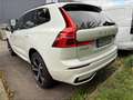 Volvo XC60 Plus Dark Recharge Plug-In Hybrid AWD T8 Twin Engi Bianco - thumbnail 3