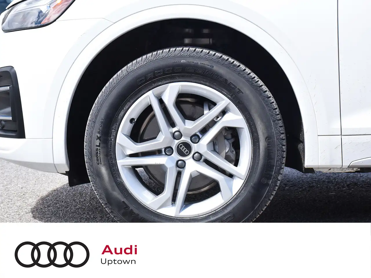 Audi Q5 снимка Audi Q5
