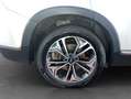 Hyundai SANTA FE 2.2 CRDi 4WD Automatik Premium Wit - thumbnail 26