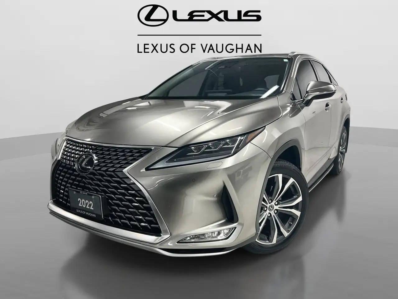 2022 Lexus RX