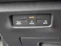 Volkswagen Tiguan 2.0 TDI DSG R-Line 4M Leder P-Dach AHK R- Grün - thumbnail 17