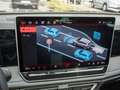 Volkswagen Tiguan 2.0 TDI DSG R-Line 4M Leder P-Dach AHK R- Grün - thumbnail 10