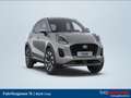 Ford Puma 1,0 EcoBoost Hybrid Titanium 125 PS Silber - thumbnail 1