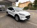 Ford Kuga Cool&Connect 2.5 Duratec PHEV Blanc - thumbnail 2