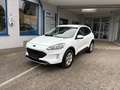 Ford Kuga Cool&Connect 2.5 Duratec PHEV Weiß - thumbnail 1