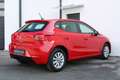 SEAT Ibiza Reference Edition 1.0 TSI 95 mit vielen Extras! Rot - thumbnail 7