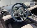 BYD Atto 3 ATTO 3 Comfort Allwetterreifen Pano.-Dach Gris - thumbnail 14