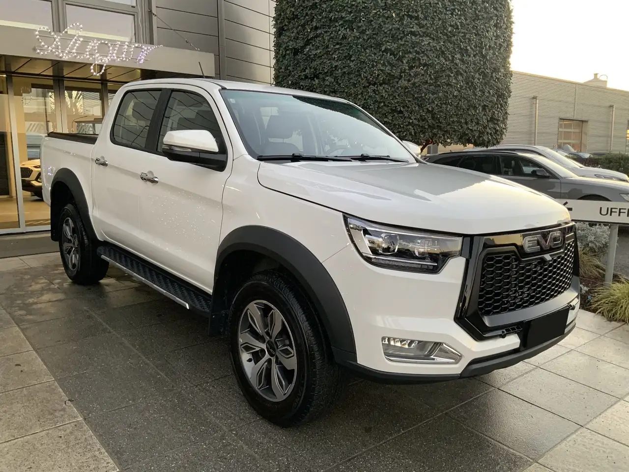EVO Cross4 2.0 Turbo Diesel DC *I.E., COLORI VARI* 3