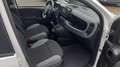 Fiat Panda 1.0 hybrid PREZZO PROMO €218,00MESE Weiß - thumbnail 17