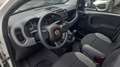 Fiat Panda 1.0 hybrid PREZZO PROMO €218,00MESE Weiß - thumbnail 10