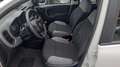 Fiat Panda 1.0 hybrid PREZZO PROMO €218,00MESE Weiß - thumbnail 9