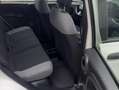 Fiat Panda 1.0 hybrid PREZZO PROMO €218,00MESE Weiß - thumbnail 16