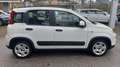 Fiat Panda 1.0 hybrid PREZZO PROMO €218,00MESE Weiß - thumbnail 6