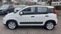 Fiat Panda 1.0 hybrid PREZZO PROMO €218,00MESE Weiß - thumbnail 2