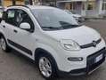 Fiat Panda 1.0 hybrid PREZZO PROMO €218,00MESE Weiß - thumbnail 7