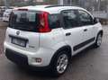 Fiat Panda 1.0 hybrid PREZZO PROMO €218,00MESE Weiß - thumbnail 5
