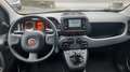 Fiat Panda 1.0 hybrid PREZZO PROMO €218,00MESE Weiß - thumbnail 12