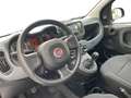 Fiat Panda Panda III 2021 1.0 firefly hybrid s Schwarz - thumbnail 9