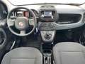 Fiat Panda Panda III 2021 1.0 firefly hybrid s Schwarz - thumbnail 11