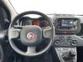 Fiat Panda Panda III 2021 1.0 firefly hybrid s Schwarz - thumbnail 10