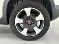 Fiat Panda 1.0 FireFly 70cv S&S Hybrid Cross Bianco - thumbnail 7