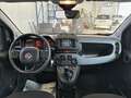 Fiat Panda 1.0 FireFly 70cv S&S Hybrid Cross Bianco - thumbnail 8