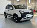 Fiat Panda 1.0 FireFly 70cv S&S Hybrid Cross Bianco - thumbnail 5