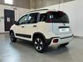 Fiat Panda 1.0 FireFly 70cv S&S Hybrid Cross Bianco - thumbnail 3