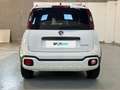 Fiat Panda 1.0 FireFly 70cv S&S Hybrid Cross Bianco - thumbnail 4
