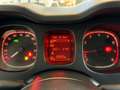 Fiat Panda 1.0 FireFly 70cv S&S Hybrid Cross Bianco - thumbnail 13