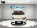Fiat Panda 1.2 Climbing 4x4 69cv - thumbnail 2