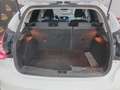 Ford Focus 1.6TDCi Sport 115 Blanco - thumbnail 9