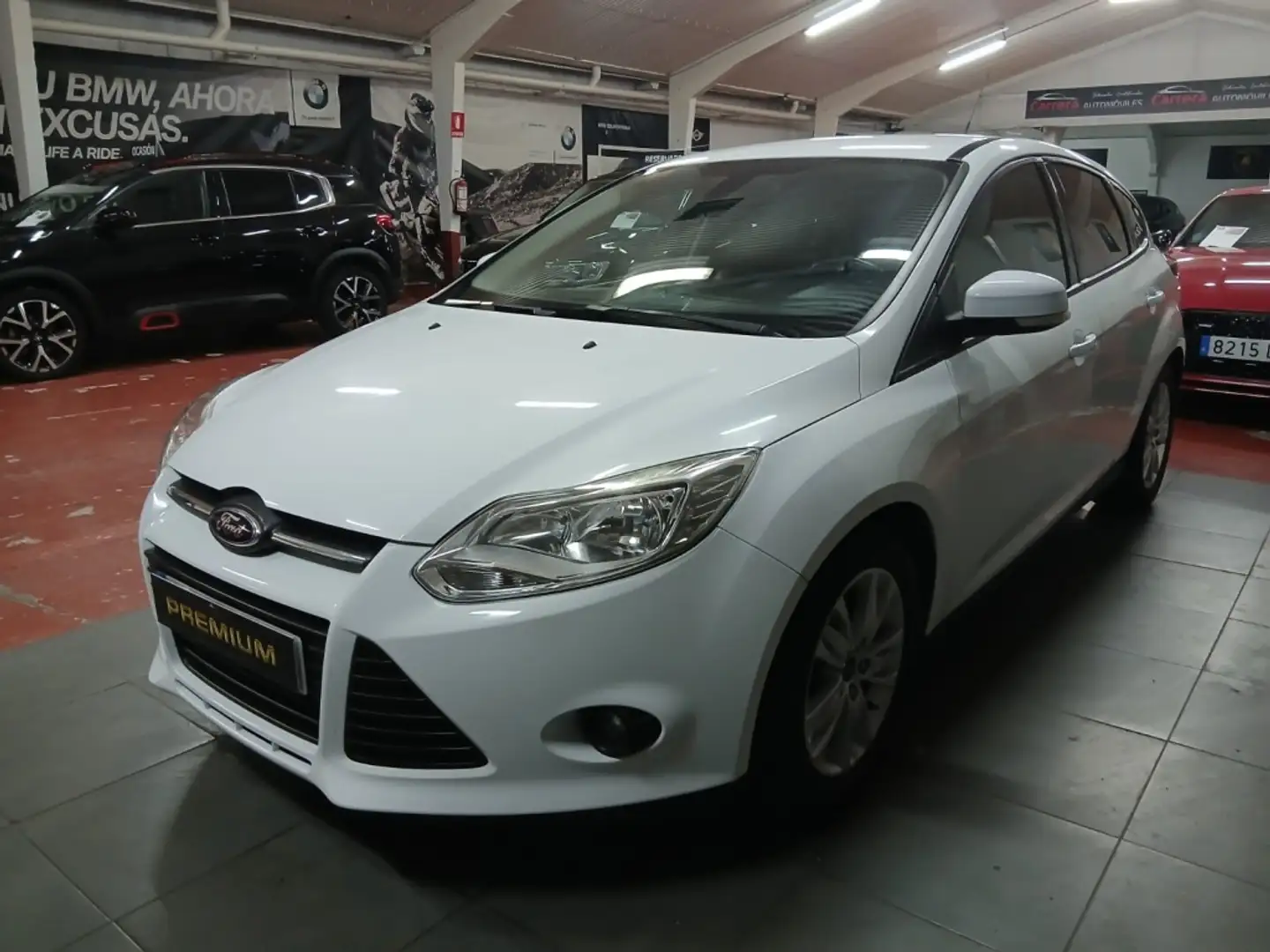 Ford Focus 1.6TDCi Sport 115 Blanco - 1