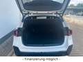 BMW X1 23 d xDrive/M Sport/PanoDach/RFK/AHK Blanc - thumbnail 17