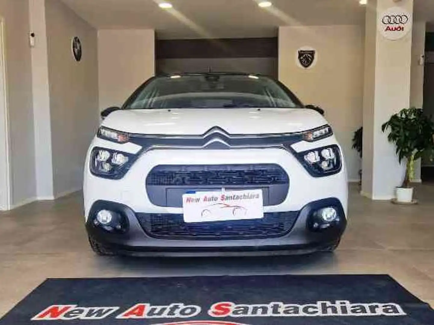 Citroen C3 BlueHDi 100 CV S&S Shine Bianco - 1