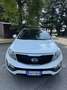 Kia Sportage 1.7 crdi Cool 2wd FL - thumbnail 8