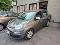 Fiat Panda 1.0 FireFly S&S Hybrid NEOPATENTATI - PREZZO REALE Gris - thumbnail 5