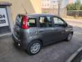 Fiat Panda 1.0 FireFly S&S Hybrid NEOPATENTATI - PREZZO REALE Gris - thumbnail 9