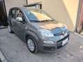 Fiat Panda 1.0 FireFly S&S Hybrid NEOPATENTATI - PREZZO REALE Gris - thumbnail 8