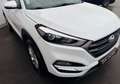 Hyundai TUCSON 1.7 CRDI 2WD 116 CV TURBO SUV GPS- RÉGULATEUR CLIM AUTO Weiß - thumbnail 5