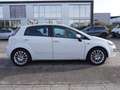 Fiat Punto Evo RACING*AUTOMATIK*TÜV NEU*BEHINDERTENGERECHT* Weiß - thumbnail 7