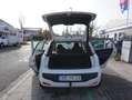 Fiat Punto Evo RACING*AUTOMATIK*TÜV NEU*BEHINDERTENGERECHT* Weiß - thumbnail 4