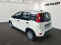 Fiat Panda Hybrid 1.0 GSE Klima, Parksens., Tempomat, ISOFIX Weiß - thumbnail 5