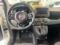 Fiat Panda Hybrid 1.0 GSE Klima, Parksens., Tempomat, ISOFIX Weiß - thumbnail 12