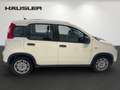 Fiat Panda Hybrid 1.0 GSE Klima, Parksens., Tempomat, ISOFIX Weiß - thumbnail 3
