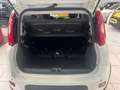 Fiat Panda Hybrid 1.0 GSE Klima, Parksens., Tempomat, ISOFIX Weiß - thumbnail 9