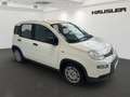 Fiat Panda Hybrid 1.0 GSE Klima, Parksens., Tempomat, ISOFIX Weiß - thumbnail 2
