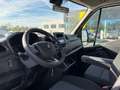 Renault Nuovo Master allestito cassone fisso dCi 165cv White - thumbnail 10