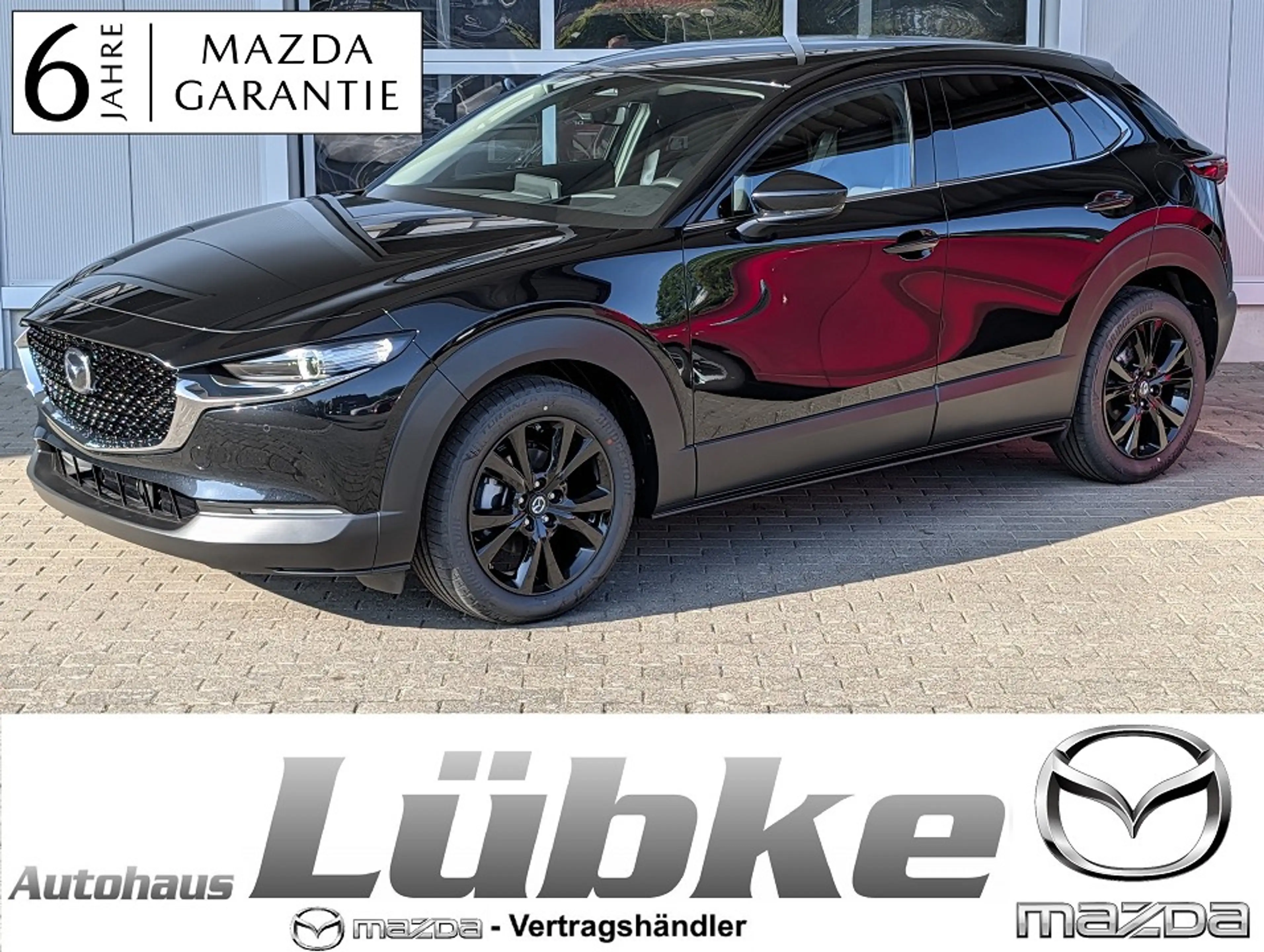 Mazda CX-30 2.5 G-140 6MT Homura HeadUp|ACC|Keyless|El.Heckkla